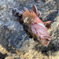 穴釣りファミリーフィッシング