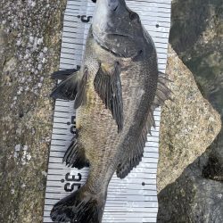 イチノ兄弟（兄）釣果！