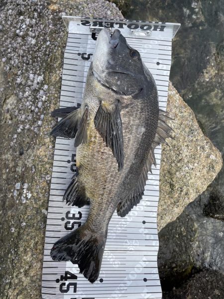 イチノ兄弟（兄）釣果！