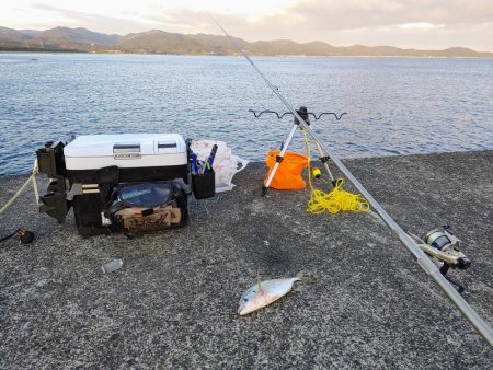 晩酌のアテ釣り
