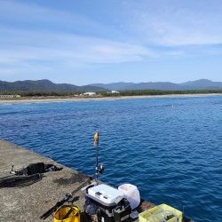 尺アジとシマアジ