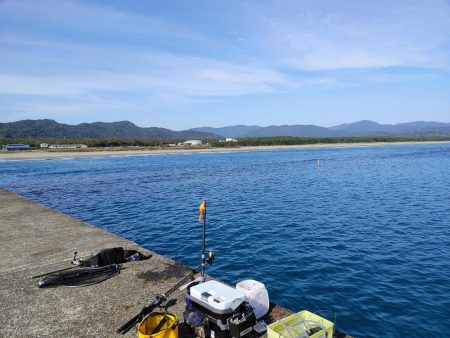 尺アジとシマアジ