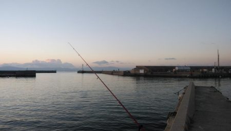 江井ヶ島のキス情報