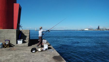 播磨新島のキス情報