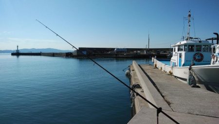 久々の良型キスが釣れました