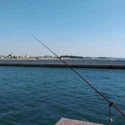 東二見白灯台のキス調査