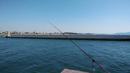 東二見白灯台のキス調査