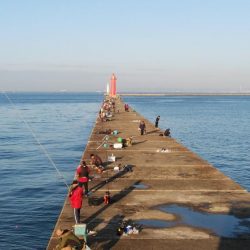播磨新島のキスが釣れなくなりました