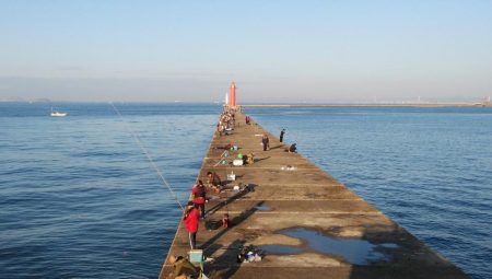 播磨新島のキスが釣れなくなりました