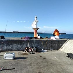 カンパチ・ヒラメ・ハマチ・・・美味しい魚