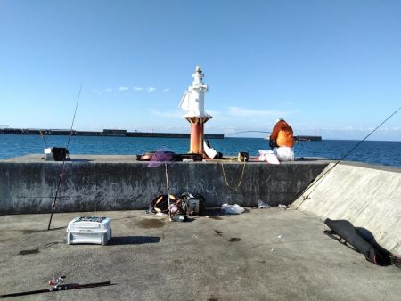 カンパチ・ヒラメ・ハマチ・・・美味しい魚