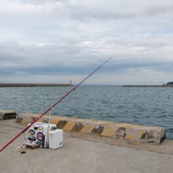 都志港へリベンジ釣行