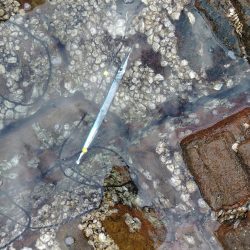 フカセ‥最高ですネ・・