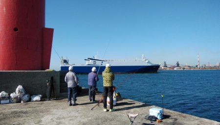 午後から播磨新島のキス調査