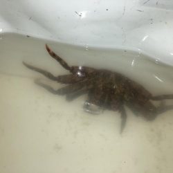 ファミリーフィッシング＆秋グレ釣り