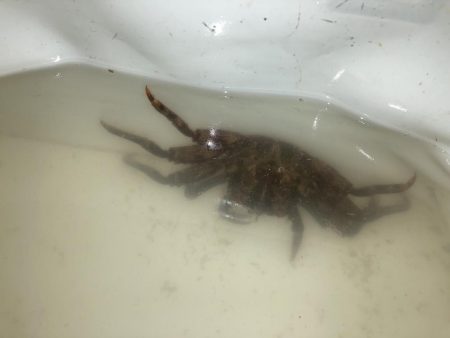 ファミリーフィッシング＆秋グレ釣り