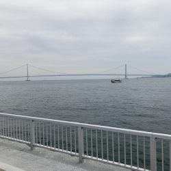 役所裏で秋グレ釣査