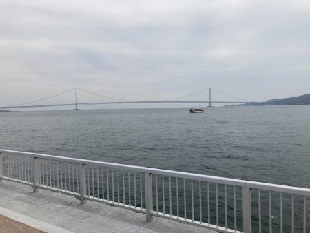 役所裏で秋グレ釣査