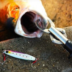 リベンジ！！嬉しい外道