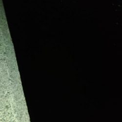 ぶら河川調査！！