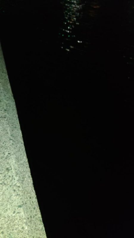 ぶら河川調査！！