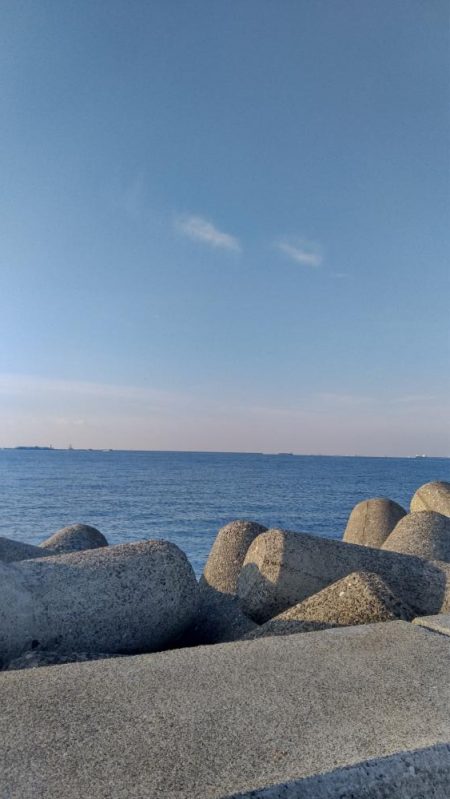 リールが･･･。