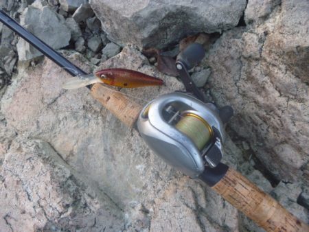 11月のバス釣り