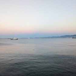 沖堤防でカワハギパラダイス