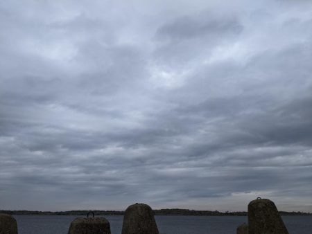 サバからのメジロ笑