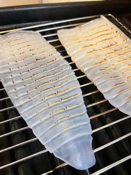 ティップランエギング