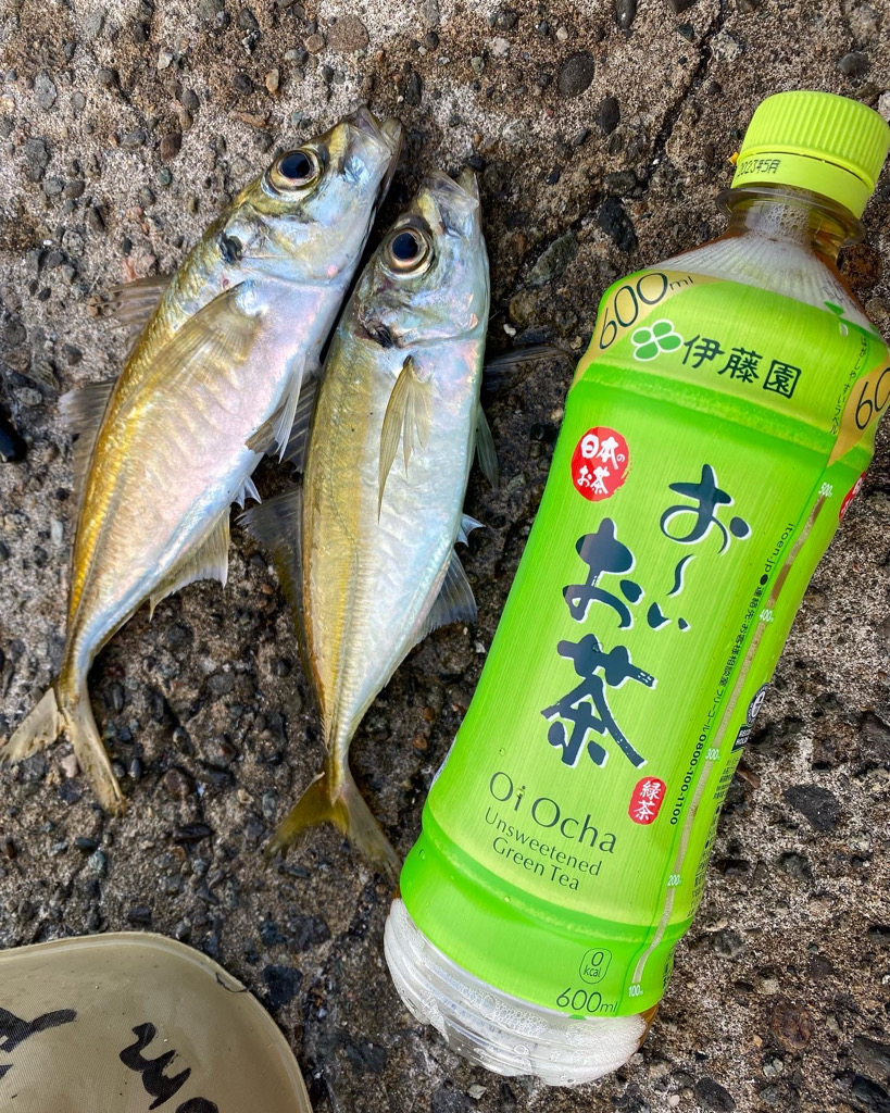 久しぶりの投稿ス