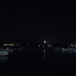 アオリイカ用のアジがいっぱい！