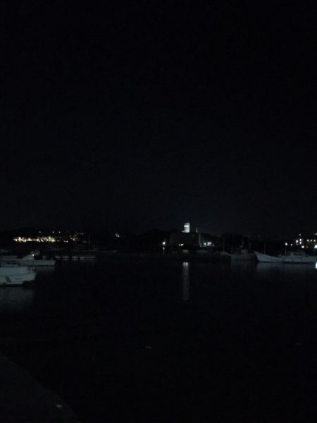 アオリイカ用のアジがいっぱい！