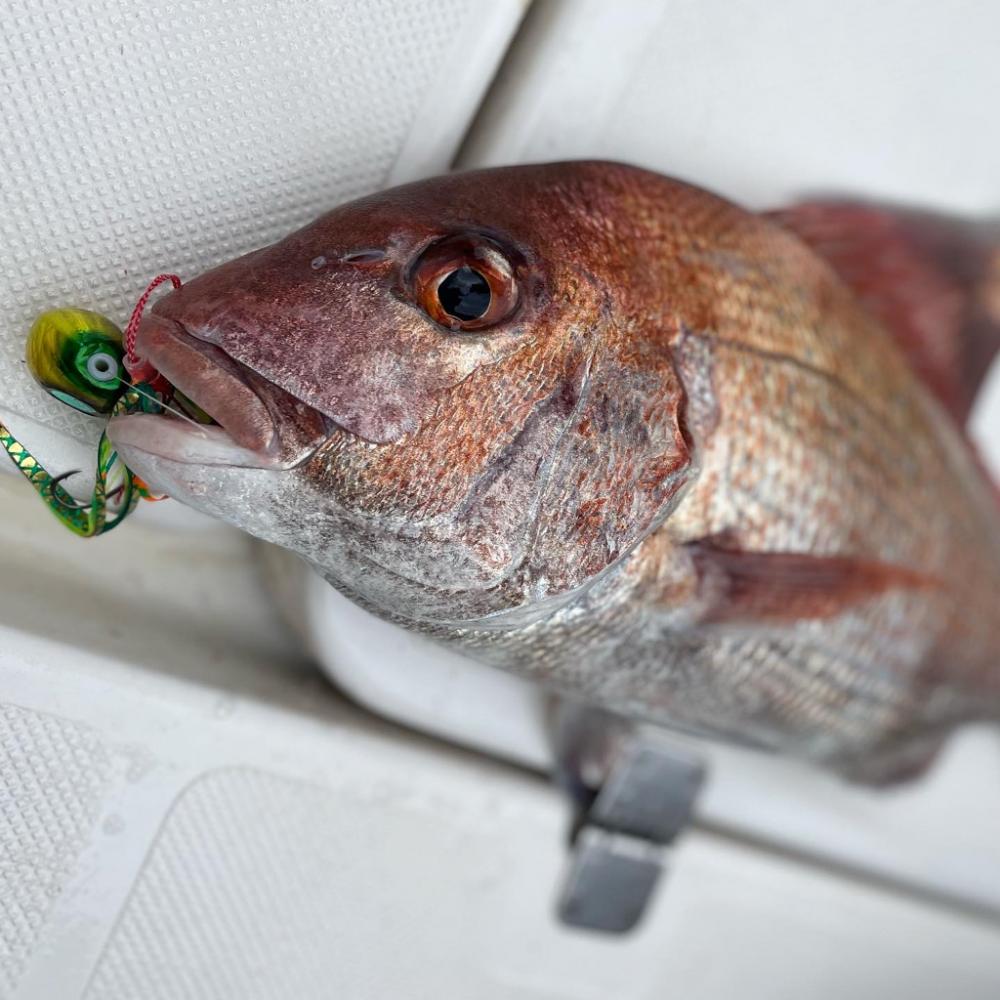 タイラバジギングで真鯛HIT⋆*🐟♬