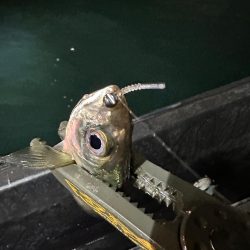 ボートアジング