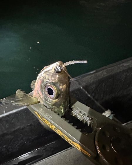 ボートアジング