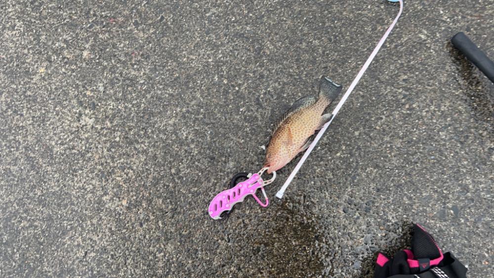 爆釣！入れ食い状態