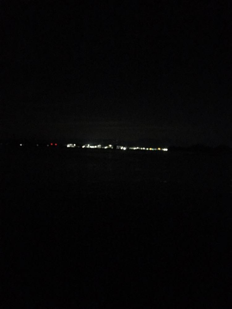 3日ぶりのアオリイカ!