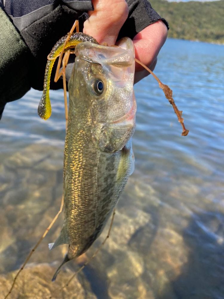 まだまだ釣れる２桁釣果