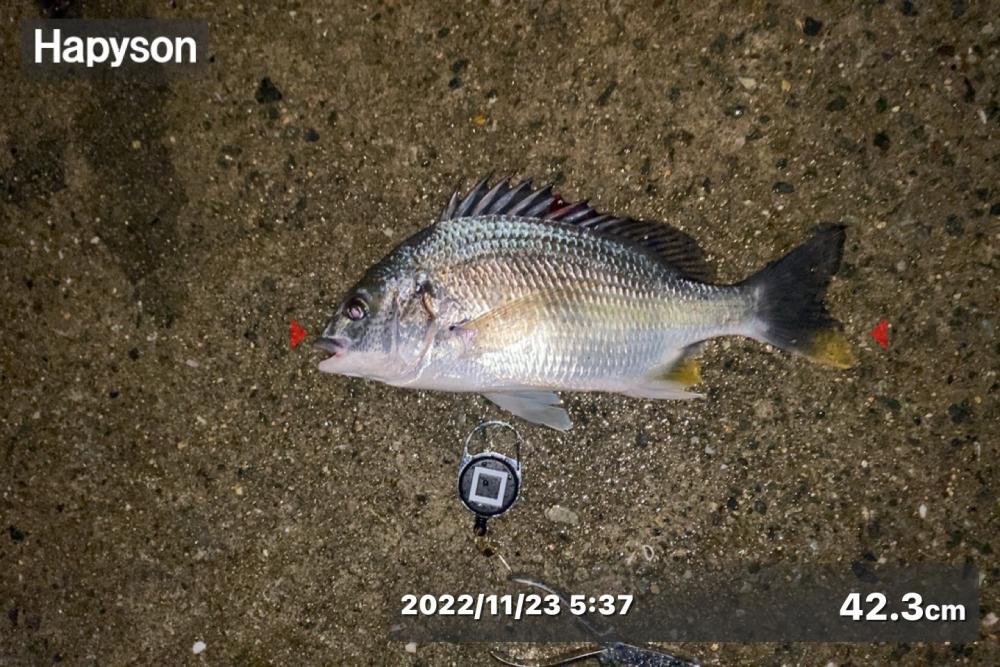 良い型を目指して