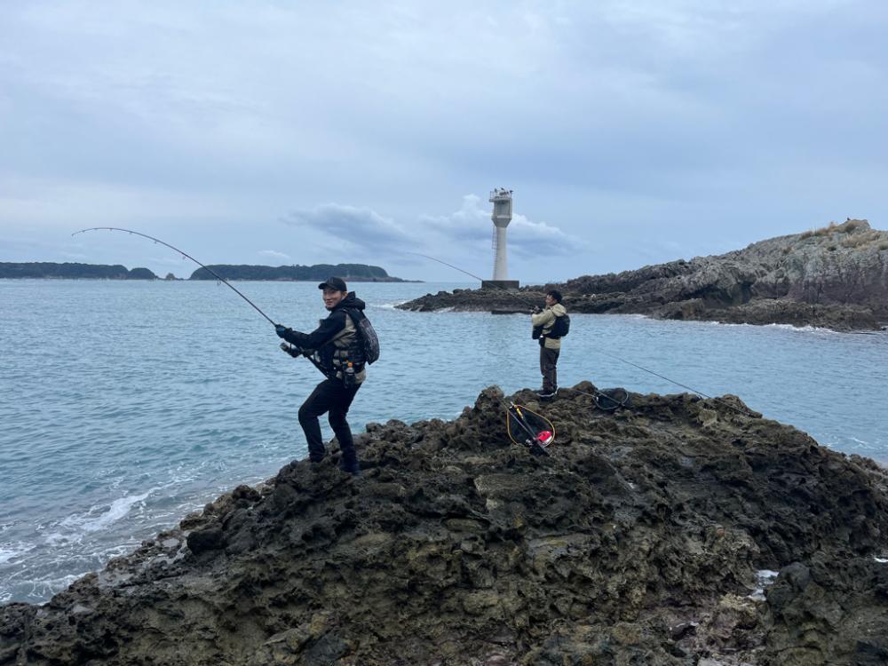 メジメジメジロ