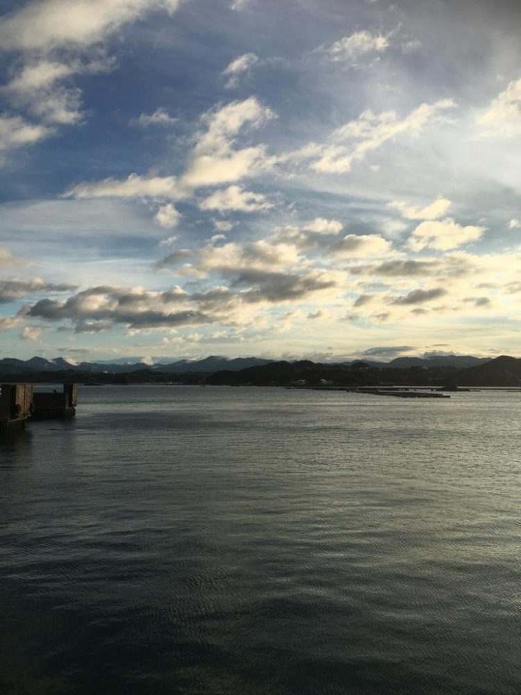 エソでした、、、