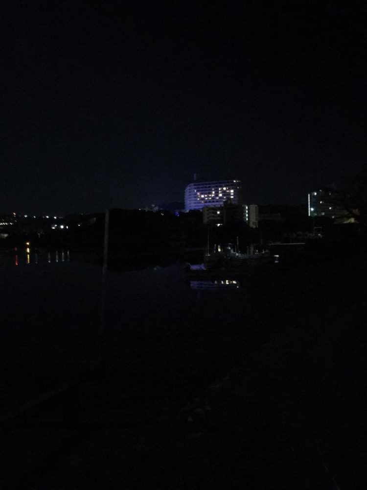 アオリイカの浮き釣り！