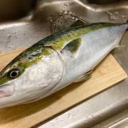 マキマキバイブ丸飲みにゃーん！