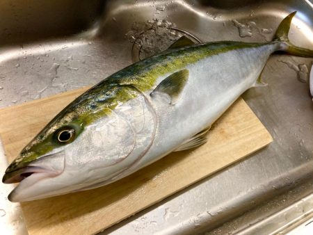 マキマキバイブ丸飲みにゃーん！