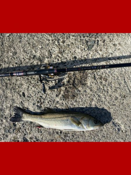 釣り開始から風が強く吹き