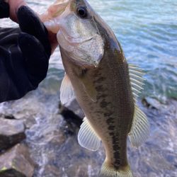 残りウィードを見つければ2桁釣果