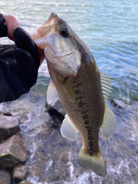 残りウィードを見つければ2桁釣果