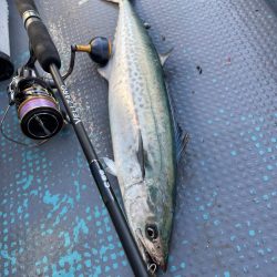 サゴシキャスティングゲーム