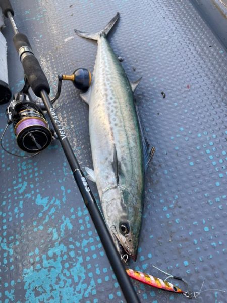 サゴシキャスティングゲーム